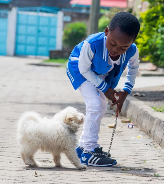 Author Explores Pet Loss Grief Across History and Countries