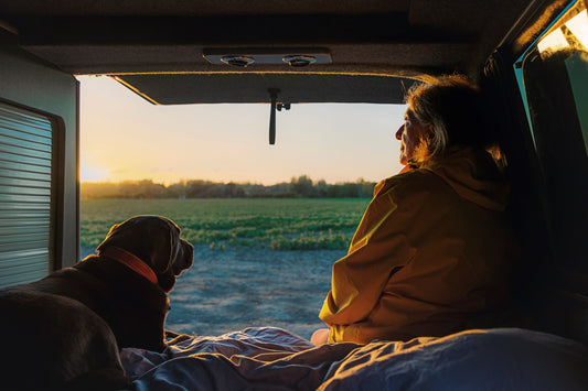 ‘Losing a pet is like losing family:’ How pet cemeteries help locals grieve